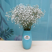 润樟鲜花云南大束满天星干花花束真花家庭客厅办公室卧室酒店插花母亲节鲜花礼物 白色满天星长枝大束（不含瓶） 默认2