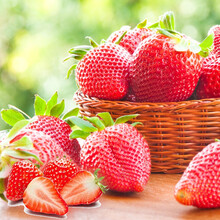白草莓种子奶油草莓苗室内盆栽水果阳台蔬菜种子 四季播食用 奶油草莓100粒简装