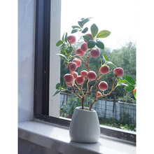 #RemHtml($!{product.content.wareName})