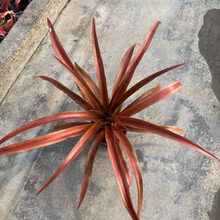 #RemHtml($!{product.content.wareName})