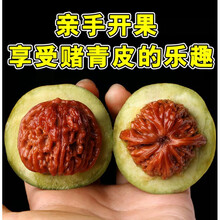 苹果圆核桃】价格_苹果圆核桃图片- 京东