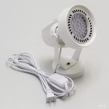 #RemHtml($!{product.content.wareName})