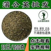 山谷里的居民  蒲公英种子 野菜婆婆丁种子  蒲公英种子 蒲公英种子250克