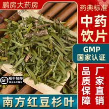 红豆杉茶】价格_红豆杉茶图片- 京东