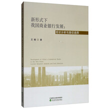 新形式下我国商业银行发展：现状分析与路径选择