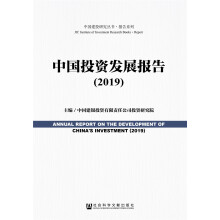 中国投资发展报告（2019）