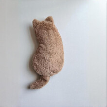 #RemHtml($!{product.content.wareName})