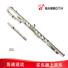 猛犸象儿童U型弯管标准长笛16孔C调开孔闭孔两用初学者儿童成人通用长笛乐器 U型管闭孔IFL-600C