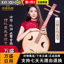 乐海中阮】价格_乐海中阮图片- 京东