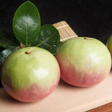 #RemHtml($!{product.content.wareName})