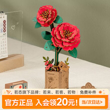 #RemHtml($!{product.content.wareName})