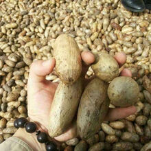 #RemHtml($!{product.content.wareName})