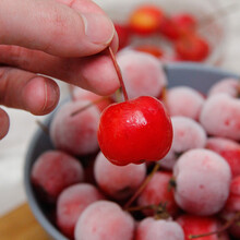 #RemHtml($!{product.content.wareName})