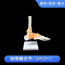 #RemHtml($!{product.content.wareName})