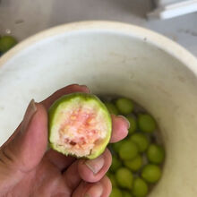 #RemHtml($!{product.content.wareName})