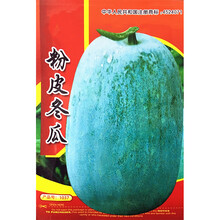 禾花楹蔬菜种子 粉皮冬瓜种子 大冬瓜种子一串铃冬瓜种子 台湾迷你小冬瓜种孑小可爱种子东瓜白瓜蔬果种籽 粉皮冬瓜种子 约30粒/包
