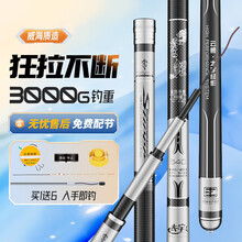 #RemHtml($!{product.content.wareName})