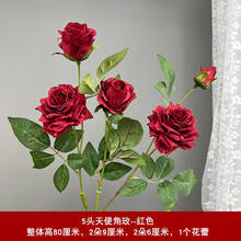 #RemHtml($!{product.content.wareName})