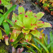 #RemHtml($!{product.content.wareName})