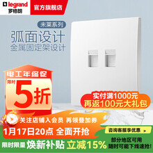 罗格朗（LEGRAND）开关插座面板 未莱系列陶瓷白色 家用86型 暗装清单报价 二位电脑插座（超五类）
