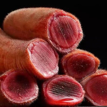 #RemHtml($!{product.content.wareName})