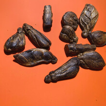 #RemHtml($!{product.content.wareName})