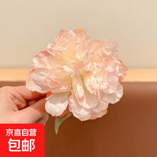 #RemHtml($!{product.content.wareName})