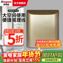 罗格朗（LEGRAND）电工电料86型暗装开关插座防水盒 防溅盒 浴室防水罩 香槟金色防水插座盒E223DV-C2