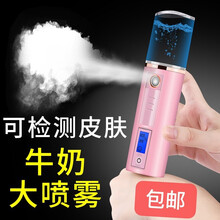 FEITA 纳米补水仪喷雾便携手持纳米喷雾器 纳米补水喷雾仪 脸部补水美容仪测肤加湿冷喷机 粉色 测肤豪华款