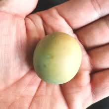 #RemHtml($!{product.content.wareName})