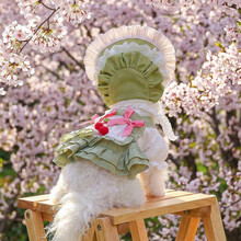 #RemHtml($!{product.content.wareName})