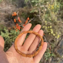 #RemHtml($!{product.content.wareName})