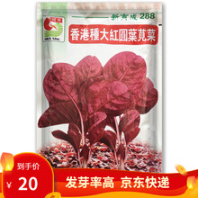 凤鸣雅世蔬菜种子红苋菜种子汉菜籽蔬菜野生菜农家菜四季菜苋野菜春夏季青菜种籽蔬菜种籽菜种子盆栽 蔬菜种籽 全红红苋菜种子200克