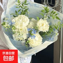 #RemHtml($!{product.content.wareName})