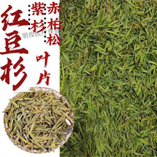 红豆杉茶】价格_红豆杉茶图片- 京东