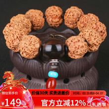 #RemHtml($!{product.content.wareName})