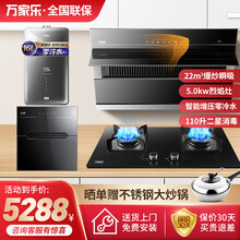 万家乐(Macro) 家用天然气 抽油烟机 燃气灶 热水器 三件套 搭配消毒柜四件套 AL032+KJ053B+DQ053+16R11