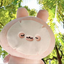 #RemHtml($!{product.content.wareName})