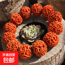 八瓣大金刚】价格_八瓣大金刚图片- 京东