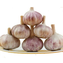 拍2件减2元  精选大果6.0以上大蒜头2021新山东特产紫皮大蒜1.7斤装 新鲜蔬菜 1.8斤装