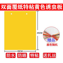 溪沫 双面加厚特粘诱虫蓝板粘虫板黄板果园茶园大棚家用等灭多种小飞虫 100张双面覆纸加厚特粘黄色20x25