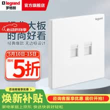 罗格朗（LEGRAND）开关插座面板 仕典系列玉兰白色86型暗装 两位超五类电脑 弱电类