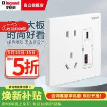罗格朗（LEGRAND）开关插座面板 仕典系列玉兰白色86型暗装 Type A+C 充电 插座