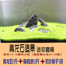 水草种子鱼缸造景套餐小对叶种子青龙石草缸牛毛草水草种子 青龙石迷你套餐