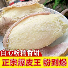 板栗红薯 冰淇淋红薯 白心地瓜 3斤番薯批发 爆粉王薯5斤【小果】高品质爆粉王