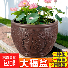 荷花缸】价格_荷花缸图片- 京东