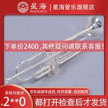 【工厂旗舰店】星海 专业演奏级小号 降B调镀银小号乐器 成人学生院校乐队通用 西洋管乐器 镀银原装款