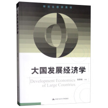 大国发展经济学（研究生教学用书）