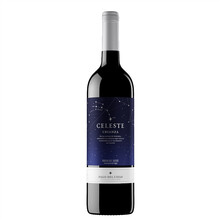 超市	
桃乐丝（Torres）精选星空红葡萄酒 750ml 西班牙进口红酒