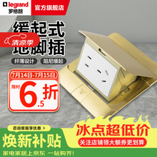 罗格朗（LEGRAND）电工电料五孔地插座隐藏式地插地板地面插座 液压缓冲铜五孔地插（含底盒）